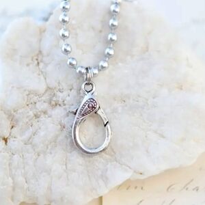 NWT Chunky Lobster Clasp Necklace